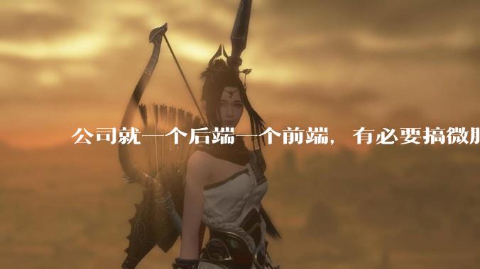 公司就一个后端一个前端，有必要搞微服务吗？