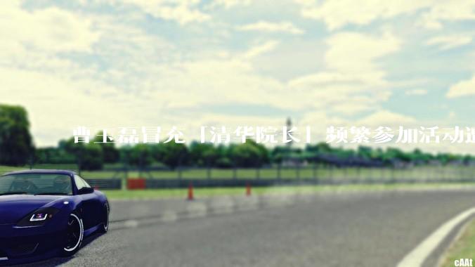 曹玉磊冒充「清华院长」频繁参加活动遭官方打***，他为何能堂而皇之以***身份开展活动？其将受到哪些处罚？