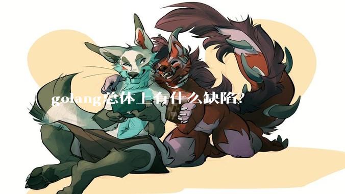 golang总体上有什么缺陷？