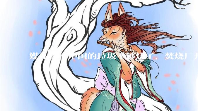 媒体称「中国的垃圾不够烧了，焚烧厂开始抢垃圾」，是真的吗？焚烧垃圾能带来哪些好处？背后有怎样的利益？