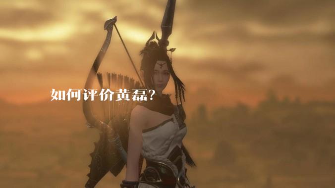 如何评价黄磊？