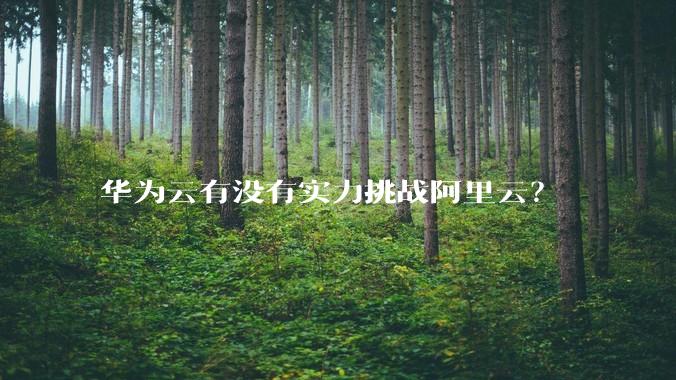 华为云有没有实力挑战阿里云？