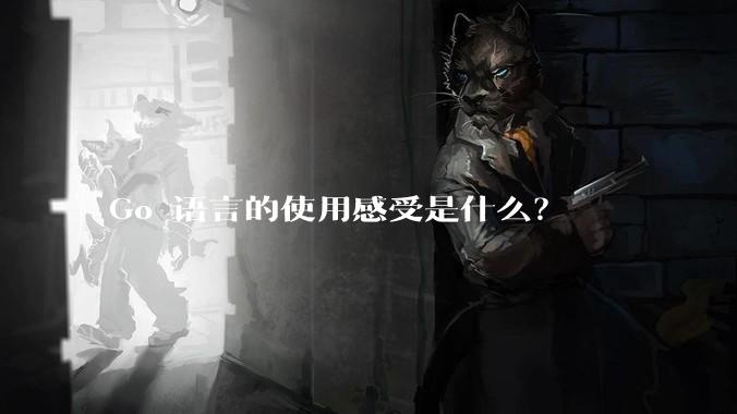 Go 语言的使用感受是什么？